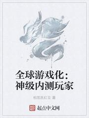 全球游戏化神级内测玩家txt