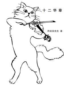 十二华载猜一数字