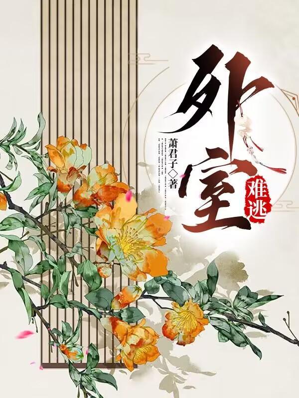 美人外史是什么节目